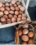 Country Eggs – ½ Dozen (6 Eggs) - Image 5