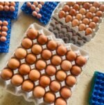 Country Eggs – ½ Dozen (6 Eggs) - Image 4